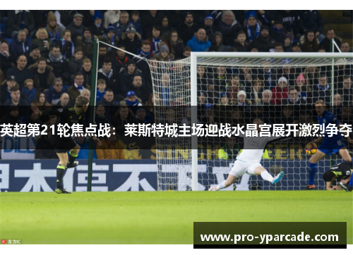 英超第21轮焦点战：莱斯特城主场迎战水晶宫展开激烈争夺