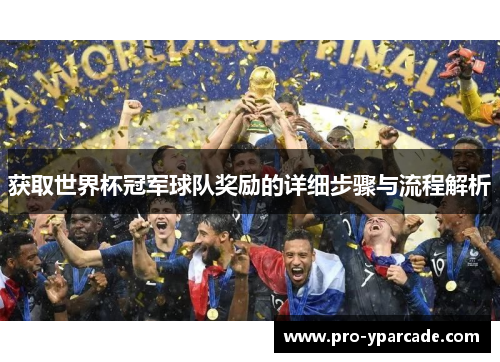 获取世界杯冠军球队奖励的详细步骤与流程解析 获取世界杯冠军球队奖励的详细步骤与流程解析