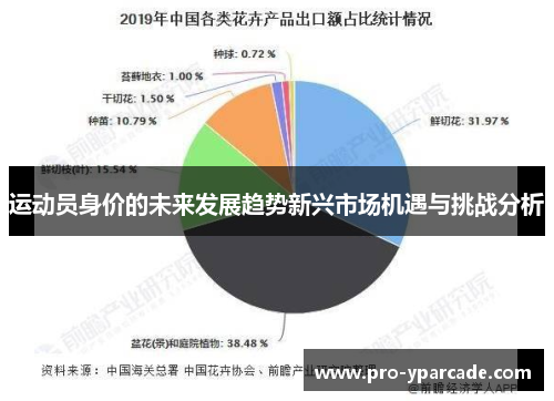 运动员身价的未来发展趋势新兴市场机遇与挑战分析 运动员身价的未来发展趋势新兴市场机遇与挑战分析
