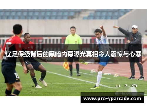 辽足保级背后的黑暗内幕曝光真相令人震惊与心寒