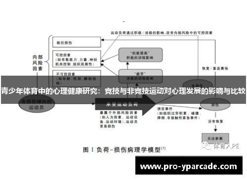 青少年体育中的心理健康研究：竞技与非竞技运动对心理发展的影响与比较