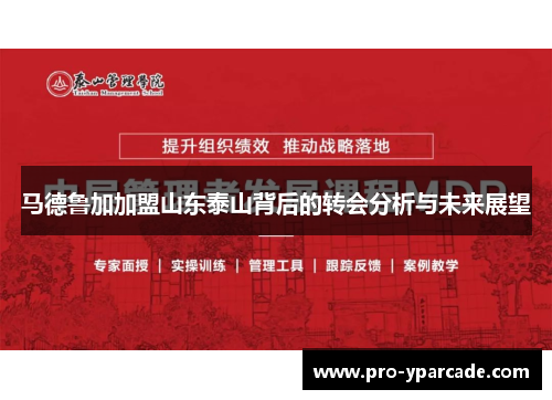 马德鲁加加盟山东泰山背后的转会分析与未来展望